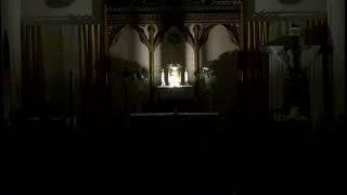 Mary Mother of the Church Parish - Livestream for Church Liturgies only
