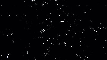 Falling Snowflakes Stock Video