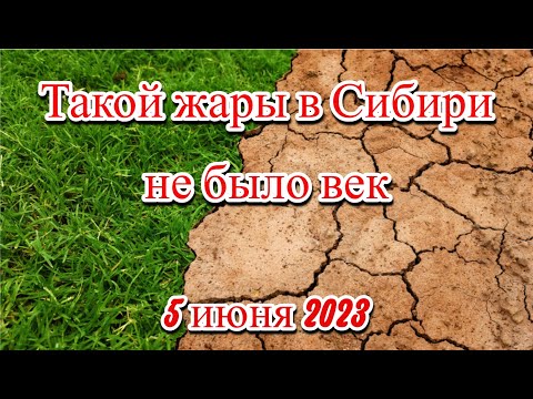 Аномальная жара в Сибири побила вековой рекорд