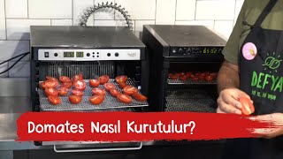 Tribest Sedona Kurutma Makineleri'nde Domates Kurutma Nasıl Yapılır? | Meyve-Sebze Kurutma Önerileri