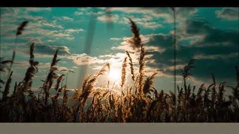 تلاوة خاشعة من سورة الاحزاب- محمد صالح