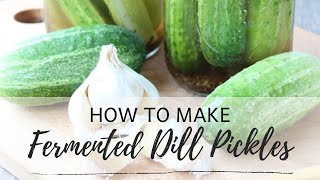 How to make easy lacto-fermented dill pickles at home