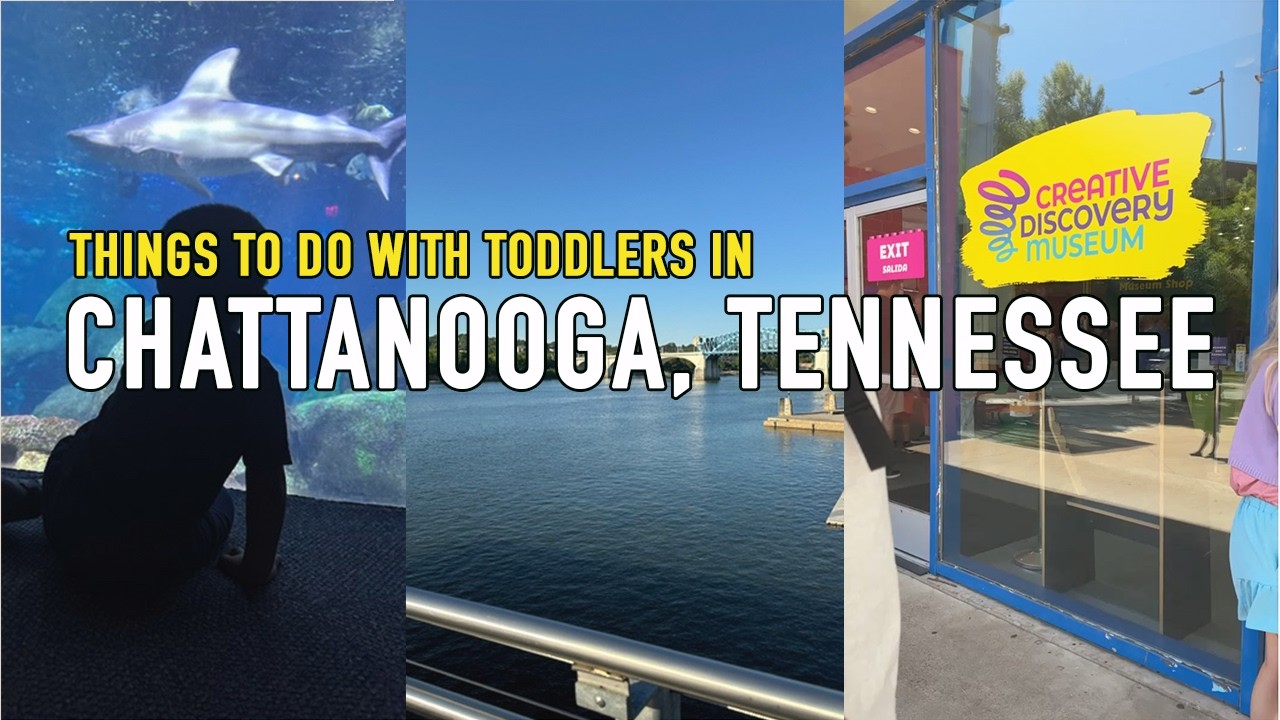FUN THINGS TO DO IN CHATTANOOGA TENNESSEE WITH TODDLERS