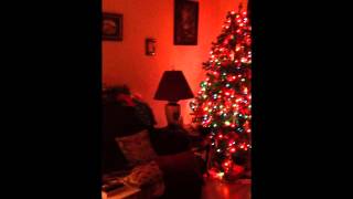Christmas 2012 by Daydreamer 63 views 11 years ago 12 seconds