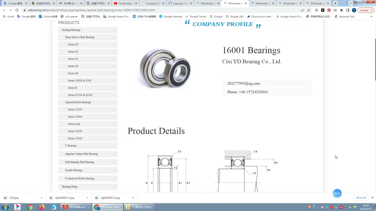 Wholesale Series 16000 & 6700 Deep Groove Ball Bearing Company