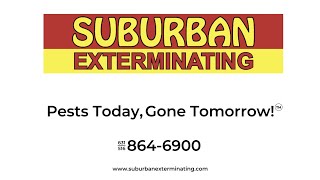Suburban Exterminating