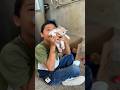 LOS GATOS BEBÉS