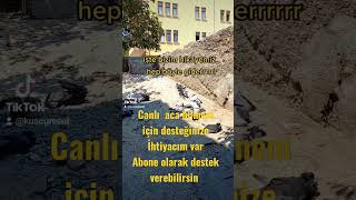 Yeni Tiktok Videosu Şfet Şu Ürkiye Ürkiye