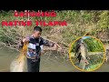 CATCHING NATIVE TILAPIA | PAT&#39;S BACKYARD