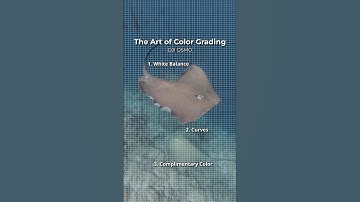 Underwater shots, but make it cinematic | Action 5 Pro