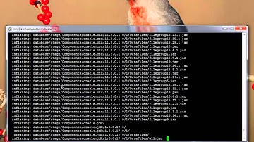 Oracle 11GR2 Installation # Part 2