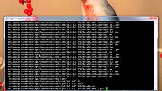 Celebrity Oracle 11GR2 Installation # Part 2 Profile