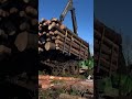 #forest #johndeere