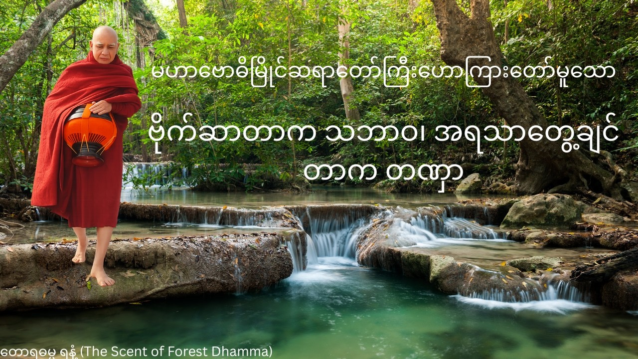 စားရင်းနဲ့ တရားရနိုင်သလား? — မဟာဗောဓိမြိုင်ဆရာတော်ဘုရားကြီး၏ စားသောက်မှုလမ်းညွှန်