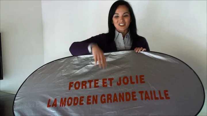 Folding Car Sun Shade