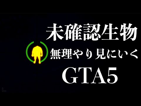 日本新記録 太陽と同じ重力で高速下山した Gta5実況 Youtube