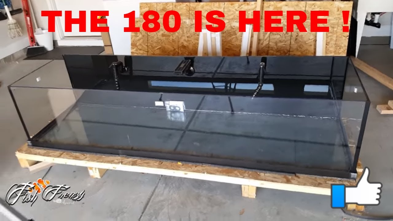 THE 180 GALLON AQUARIUM HAS ARRIVED