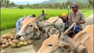 JEJAK SI GUNDUL - KUE PAPRIKA TAIMINYAK (30/3/17) 3-1