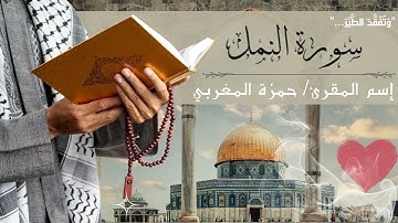 قرآن يريح القلب ❤️ ما تيسر من سورة النمل بصوت جديد