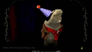 Sock Opera