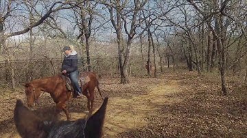 Yada Yada Boon - Trail Riding & Cutting