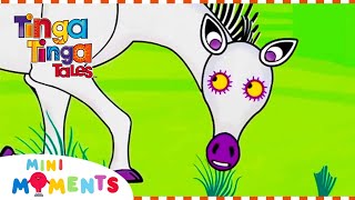 Where Are Zebra's Stripes? 🤔 | Tinga Tinga Tales | Full Episodes | Mini Moments