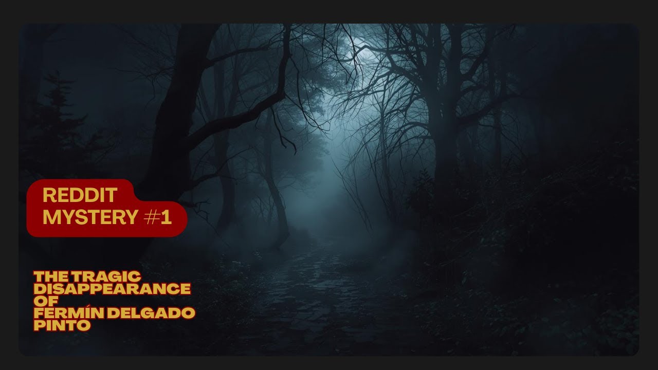 He Walked Into the Woods and Never Came Back  - REDDIT Mystery #1