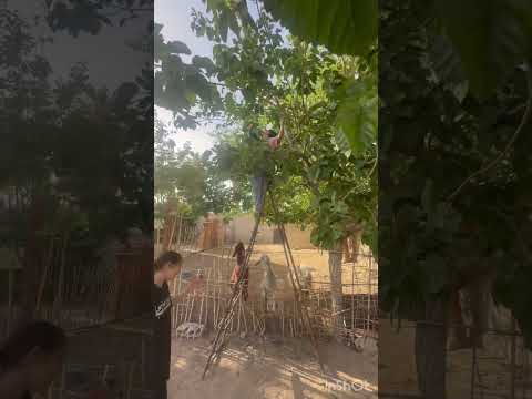 اكسبلور سوريا سيلينا لمشاغبة 