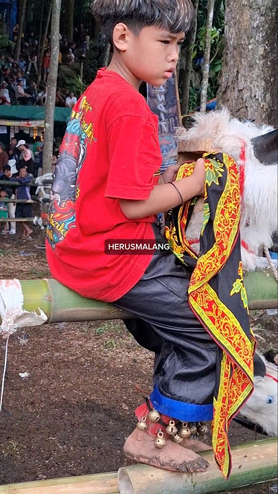 NINO BERAKSI LAGI #bantengan #bocil