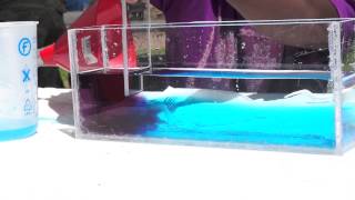 An internal wave - fun with density