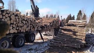 Self Loading Logging Truck