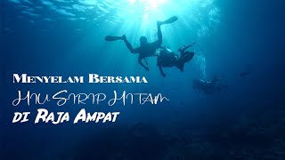 Scuba Diving di Pulau Arborek | Raja Ampat | Arborek | Yenbuba | Pulau Friwin