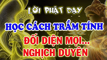 Nghe Lời Phật Dạy : Học Cách Trầm Tĩnh , Đối Diện Mọi Nghịch Cảnh - An Vui Tự Tại Sống Đời An Nhiên