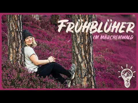 Was gerade am Waldboden passiert, übersieht fast jeder!