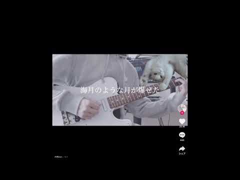 【TikTok】歌うまっ‼️ヨルシカメドレー🍋【ヨルシカ】【弾き語り】