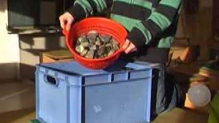 Expérience Sur Linfiltration Dans Du Gravier