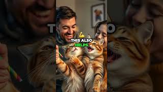 🐾😽  Essential Habits for Your Cat's Well-Being  🐾😽