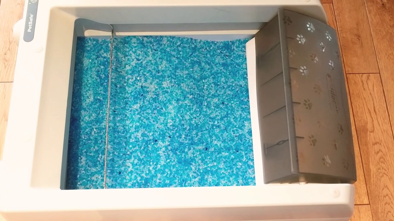 My cat loves ScoopFree Original Self-Cleaning Litter Box