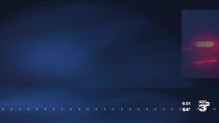 Indictment in Ella Goodie Case