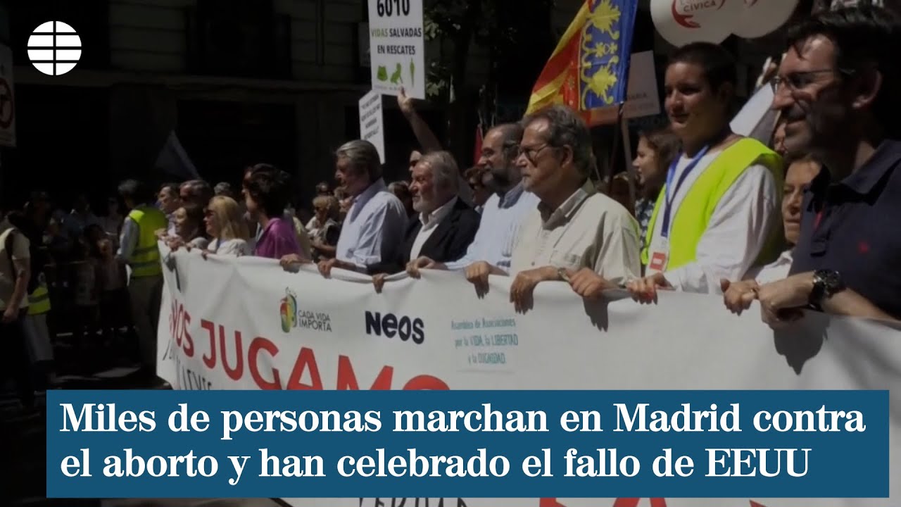 Miles de personas marchan en Madrid contra el aborto y celebran el ...
