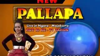 Download Lagu 3. TERLALU RINDU DEVI ALDIVA NEW PALLAPA HUT RI 71 PT.CORT INDONESIA MP3