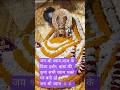​✨ आज के खाटू श्यामजी के दिव्य, लाइव दर्शन | Shree Shyam Baba ✨