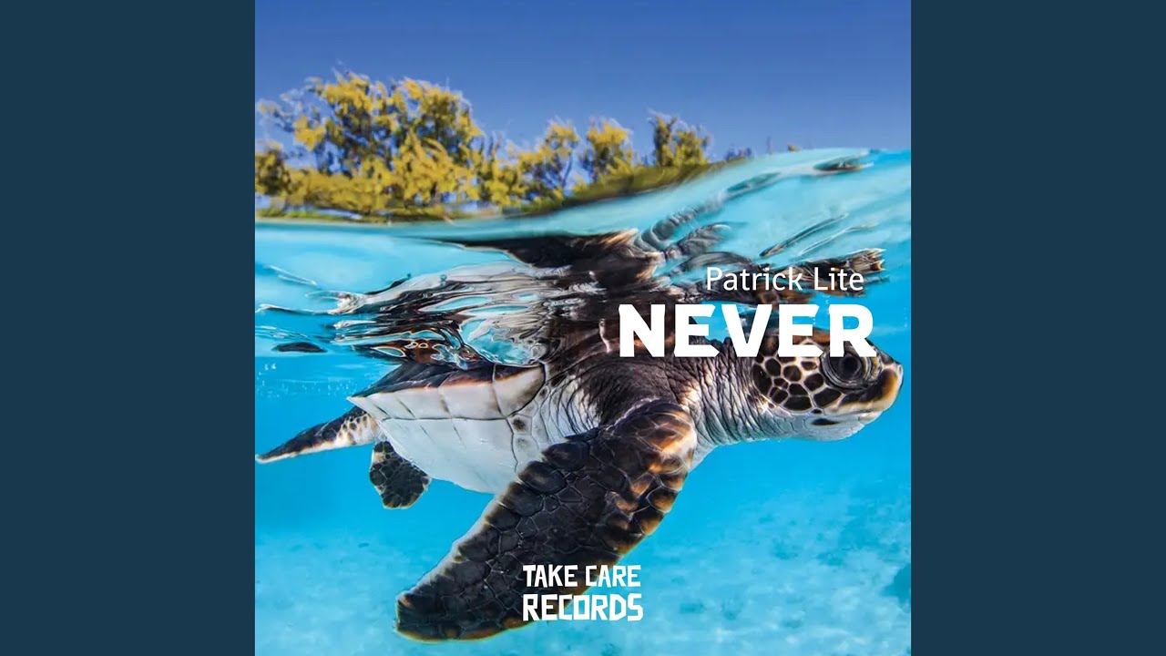 Watch Never on YouTube Watch Never on YouTube