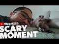 A Scary Situation with Woody: The Reality of Being a Pet Owner