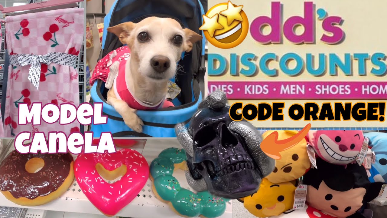 DD’S DISCOUNT CODE ORANGE 🎃ALREADY?! SO MANY GOODIES & CANELA MODELS