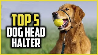 ✅ Top 5 Best Dog Head Halter of 2024