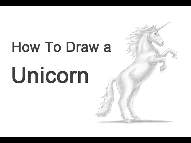 Featured image of post How To Draw A Horse Rearing Up Step By Step This is a very easy method of drawing a rearing horse
