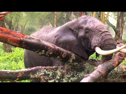 Mungu Wa Ajabu Mary Mgogo Official Video