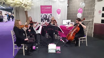 String Quartet Glasgow Perfect Ed Sheeran arr. Mairi Hunter performed by Stringsaloud String Quartet