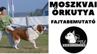 MOSZKVAI ŐRKUTYA fajtabemutató  DogCast TV!